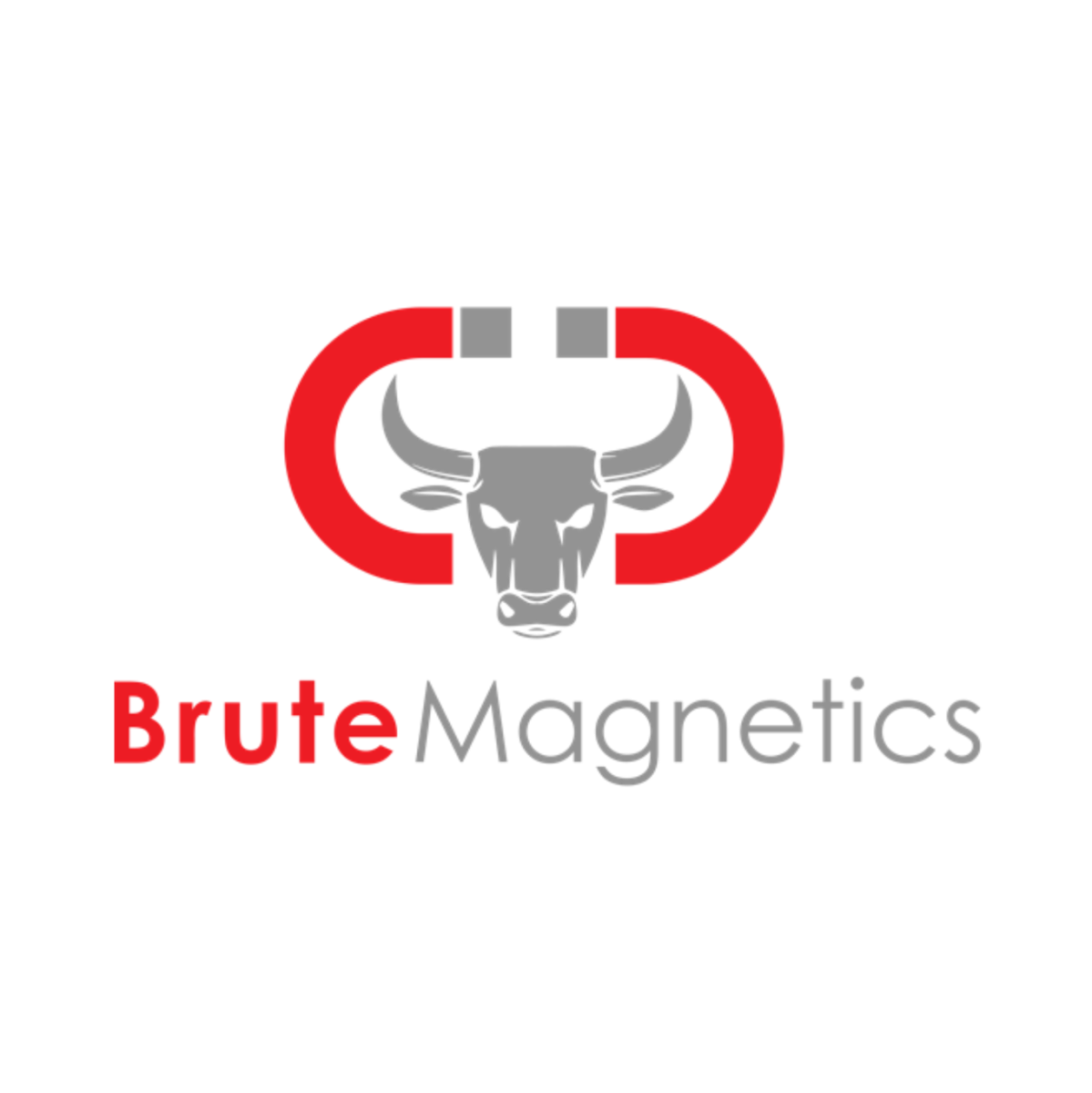 Brute Magnetics Coupons and Promo Code